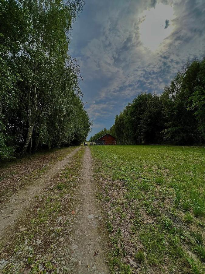 Domek Letniskowy Pod Brzozami Na Roztoczu Wsrod Lasow, Zamosc, Krasnobrod, Zwierzyniec Adamow  Exterior photo