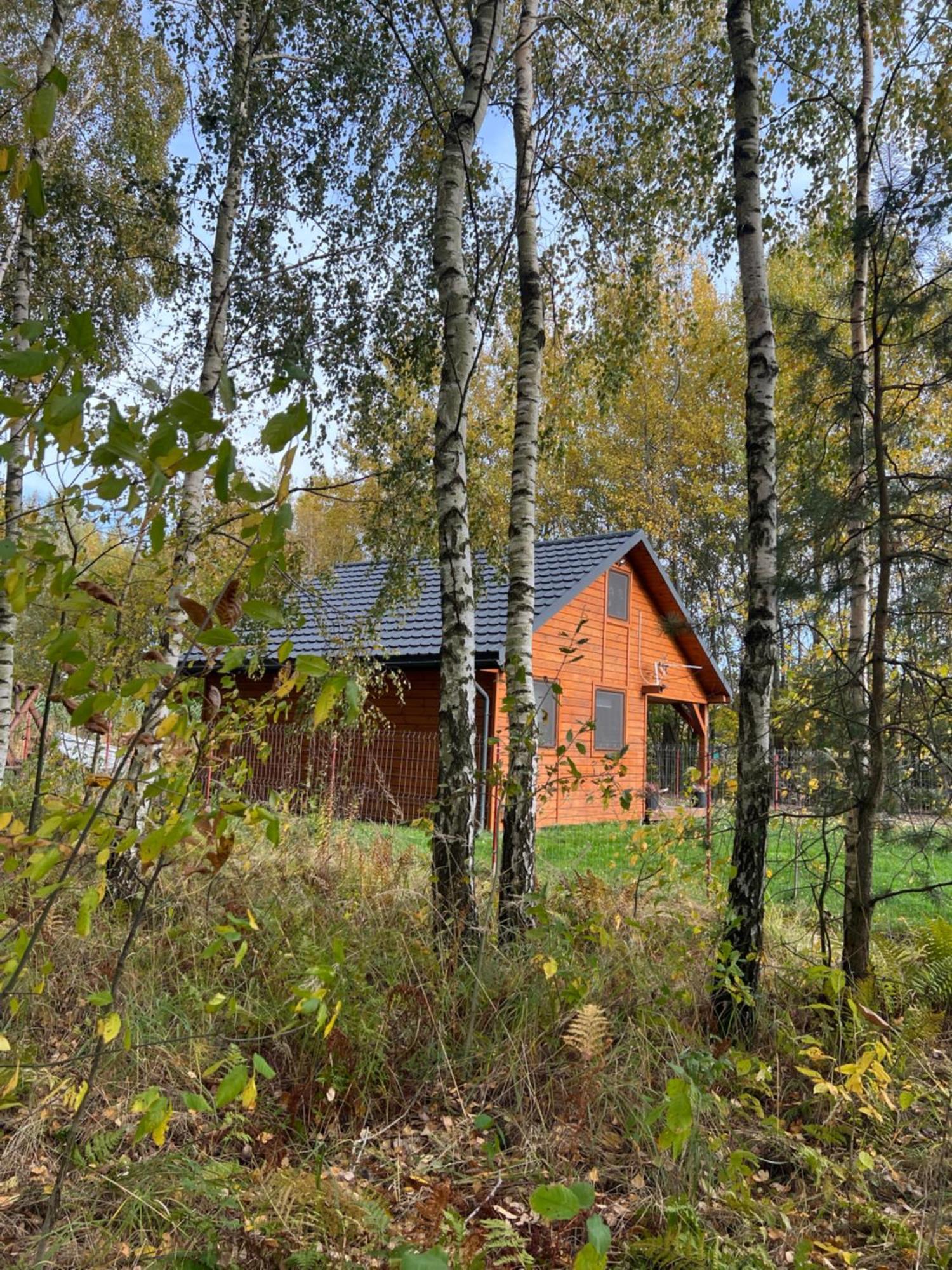 Domek Letniskowy Pod Brzozami Na Roztoczu Wsrod Lasow, Zamosc, Krasnobrod, Zwierzyniec Adamow  Exterior photo